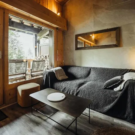 Charming Duplex Close To The Slopes Apartment